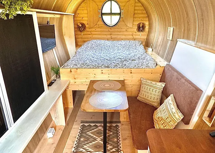 Magnolia Hoeve - Unieke Bestemming Voor Paardenliefhebbers En Bijzondere Overnachtingen In De Ledeacker