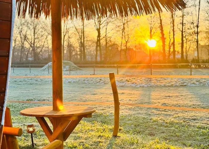 Campsite Magnolia Hoeve - Unieke Bestemming Voor Paardenliefhebbers En Bijzondere Overnachtingen In De *