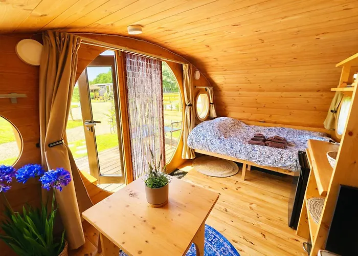 Magnolia Hoeve - Unieke Bestemming Voor Paardenliefhebbers En Bijzondere Overnachtingen In De Campsite