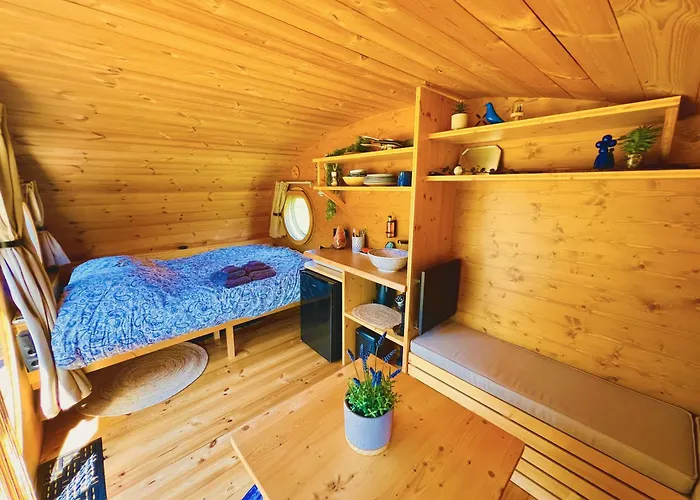 Magnolia Hoeve - Unieke Bestemming Voor Paardenliefhebbers En Bijzondere Overnachtingen In De Ledeacker